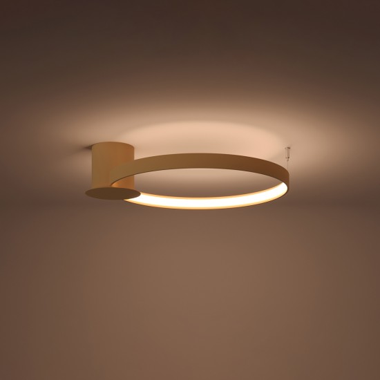 Lubinis šviestuvas RIO 55 golden LED 3000K