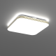 ML0253 ML0253