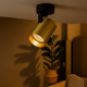 ML0677 ML0677