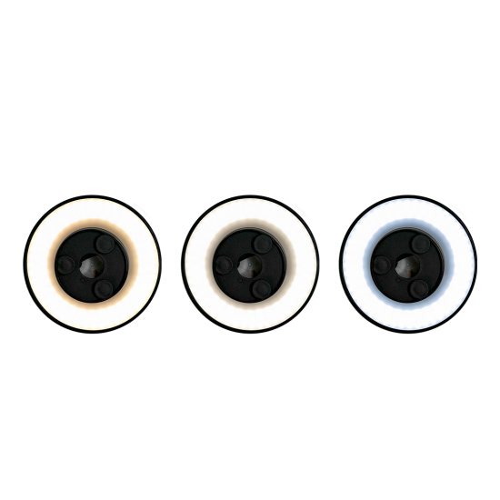 ML1286