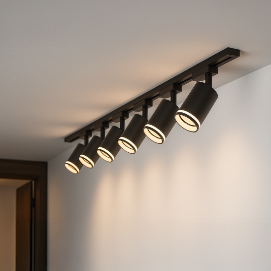 ML2085 ML2085